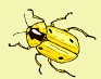 6 - Verrall Association of Entomologists